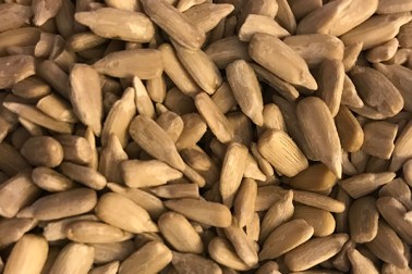 HillReport2-24-2019a