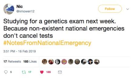 Screen Shot 2019-02-17 at 2.01.45 AM.png