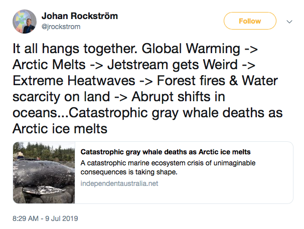 Screen Shot 2019-07-17 at 11.40.02 AM.png