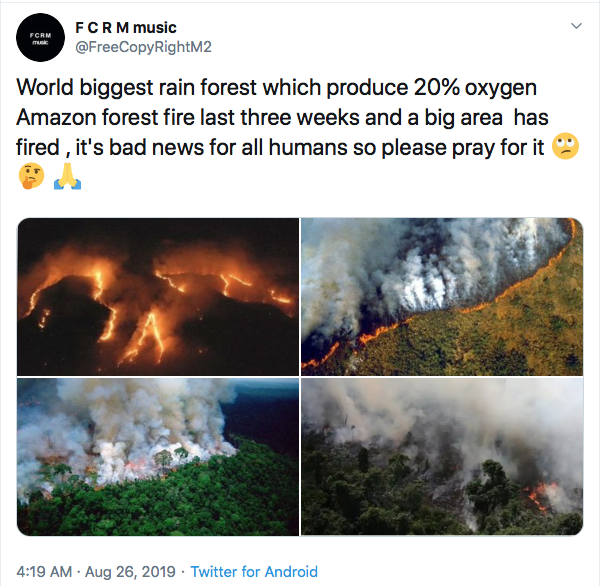 Screen Shot 2019-09-03 at 12.31.43 AM.png