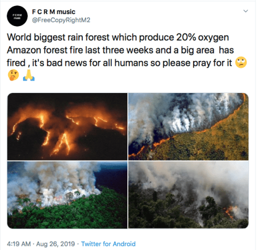 Screen Shot 2019-09-03 at 12.31.43 AM.png