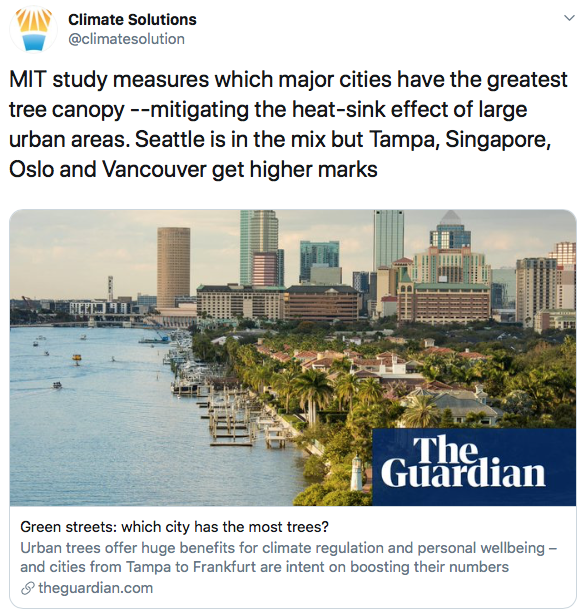 Screen Shot 2019-11-07 at 8.56.40 PM.png