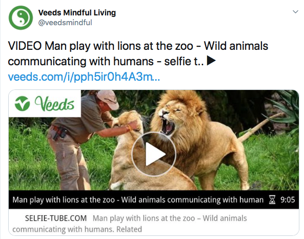 Screen Shot 2020-04-01 at 2.39.17 AM.png